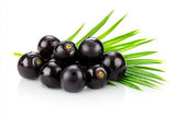 Saw Palmetto